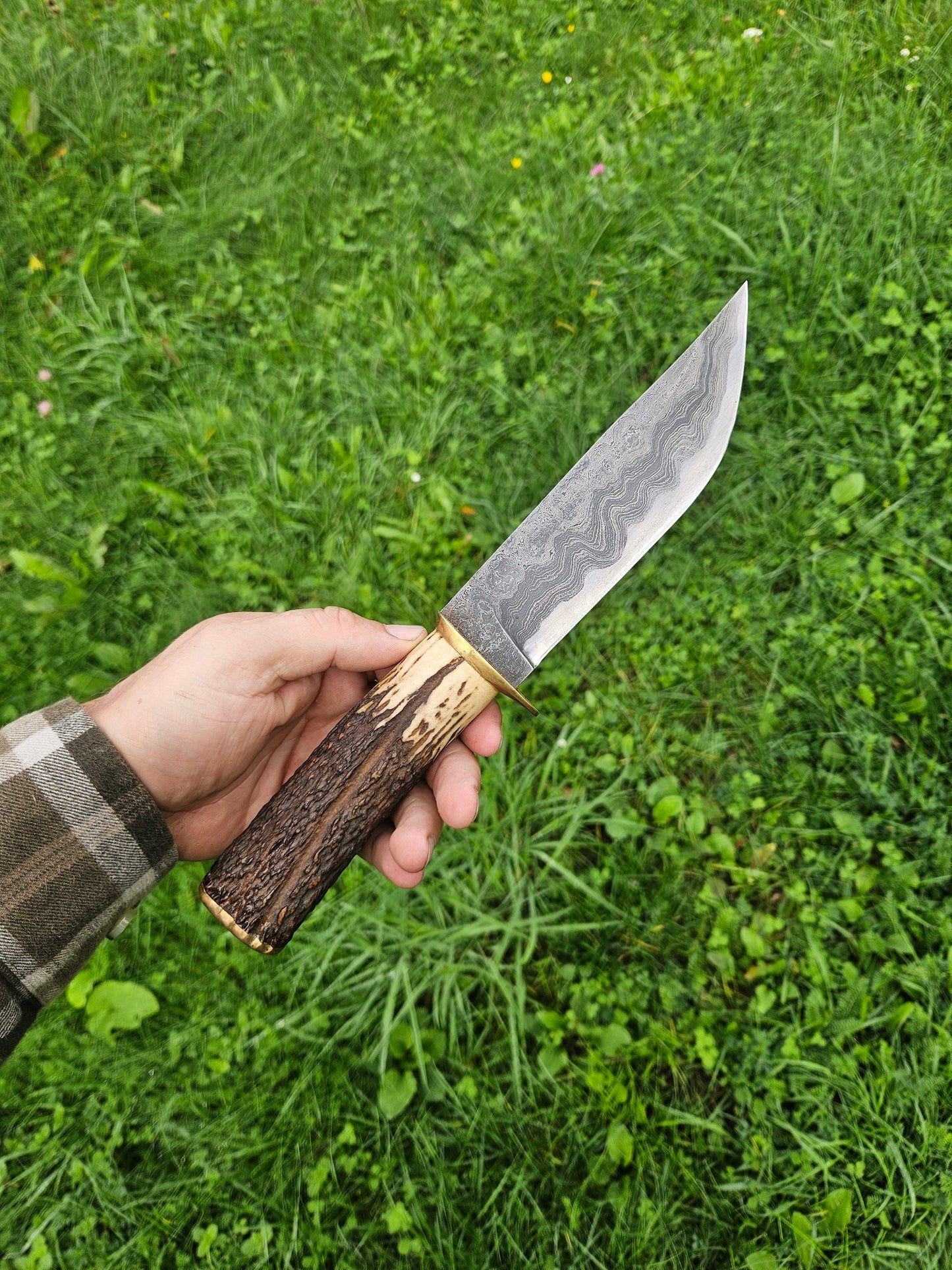 Hunting Knife – Damascus San-Mai